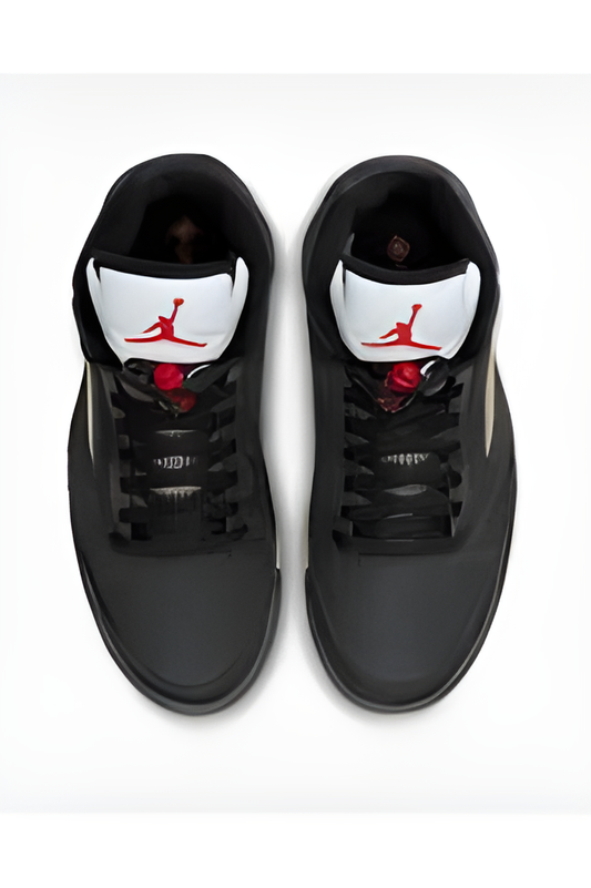 Air Jordan 5 GORE-TEX 'Off-Noir'